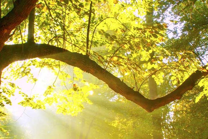 Mr.Sol - Alternative Energie und Heizungstechnik